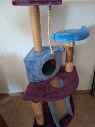 Rascador para Gatos
