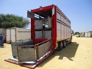 Scania P 380-CAMIONES GANADEROS