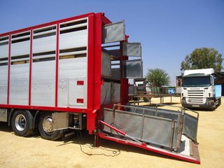 Scania P 380-CAMIONES GANADEROS