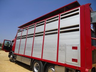 Scania P 380-CAMIONES GANADEROS