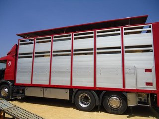 Scania P 380-CAMIONES GANADEROS