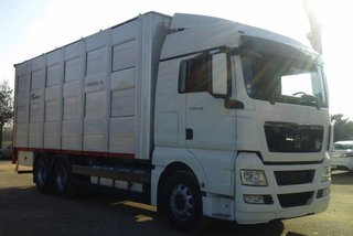 Scania R 490-CAMIONES GANADEROS