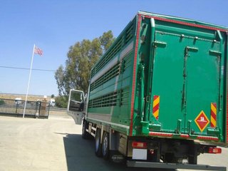 Volvo FH 480-CAMIONES GANADEROS