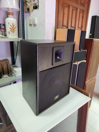 Pareja Altavoces Aoustic Control AC1000 Pasivos