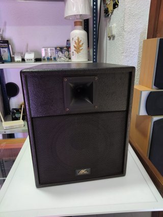 Pareja Altavoces Aoustic Control AC1000 Pasivos