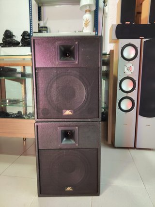 Pareja Altavoces Aoustic Control AC1000 Pasivos