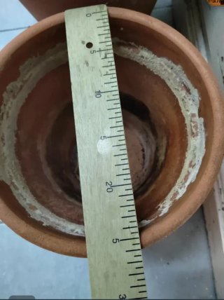 2 Macetas de barro sin pintar Plantas