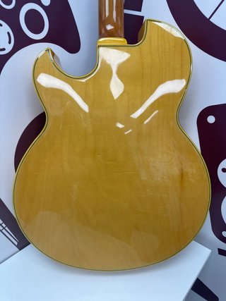 Guitarra Electrica Acustica Ibañez pm100nt