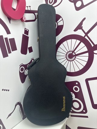 Guitarra Electrica Acustica Ibañez pm100nt
