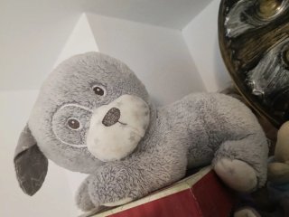 Peluches adorables