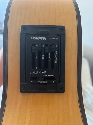 Guitarra Alhambra 3F CW E1