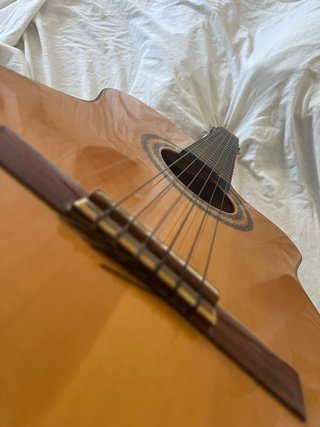 Guitarra Alhambra 3F CW E1