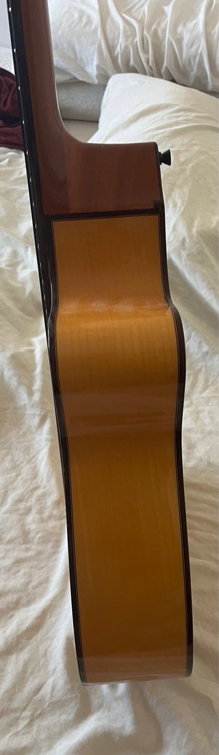 Guitarra Alhambra 3F CW E1