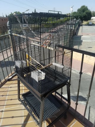 Jaula grande para loro