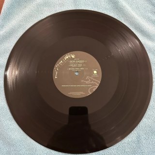 Metallica - Vinile LP Hard Rock Heavy Metal