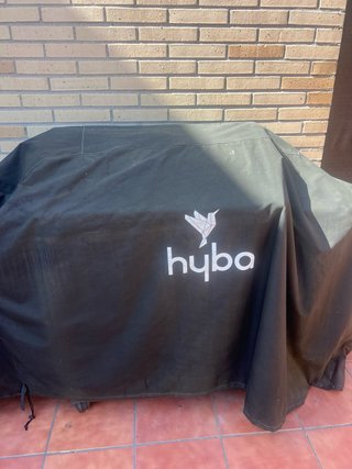 Barbacoa de gas