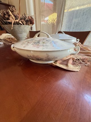 Coppia di zuppiere Hutschenreuther Selb Bavari