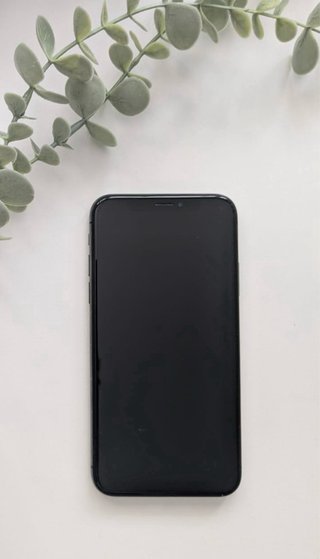 iPhone X Negro