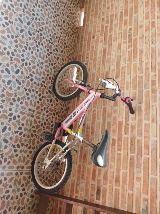 Bicicleta infantil rosa