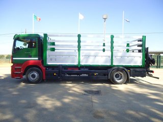 MAN TGM 18 390-CAMIONES CON GRUA