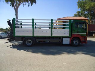 MAN TGM 18 390-CAMIONES CON GRUA