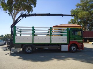 MAN TGM 18 390-CAMIONES CON GRUA