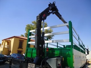 MAN TGM 18 390-CAMIONES CON GRUA