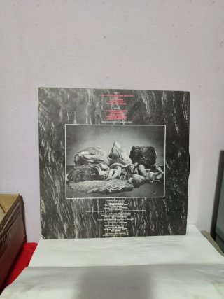 Alaska y Dinarama - Deseo Carnal Vinilo