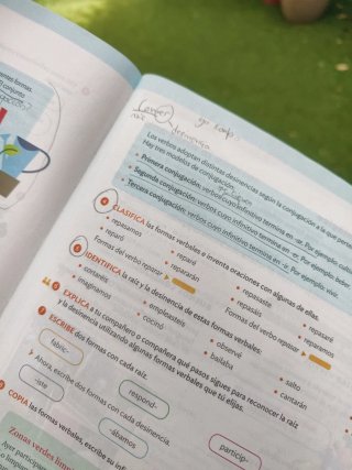 Lengua castellana, 5 Primaria