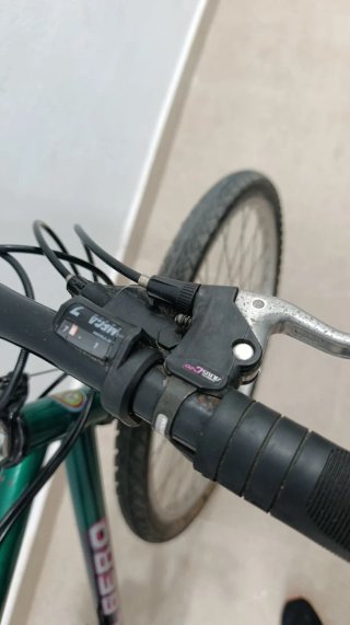 Bicicleta Montaña Albero Clásica