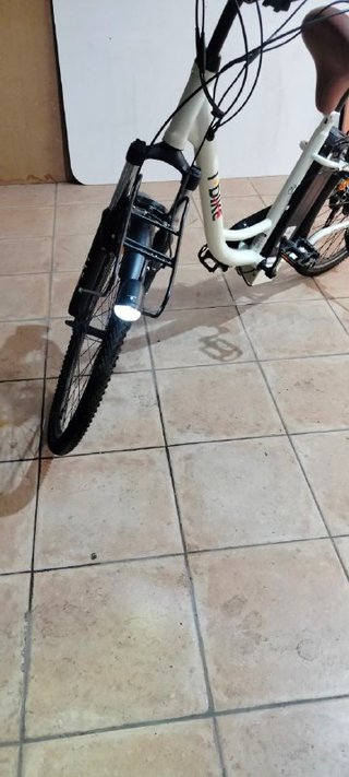 Bici elettrica a pedalata assistita