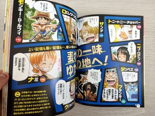 Revista One Piece Mook Rurubu