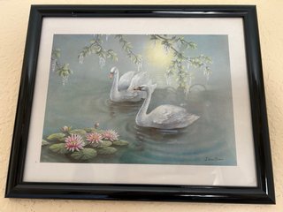 Cuadros decorativos cisnes