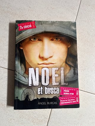 Noel et busca