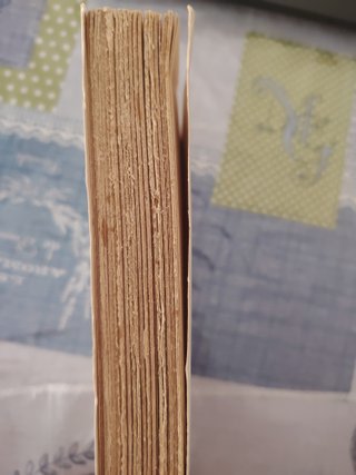 Libri