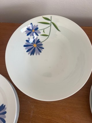 Platos de porcelana con flores azules