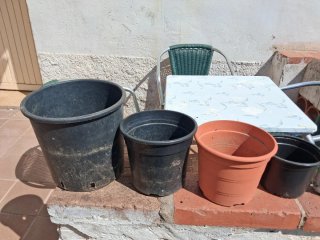 Lote de macetas de plástico