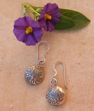 Pendientes de Plata