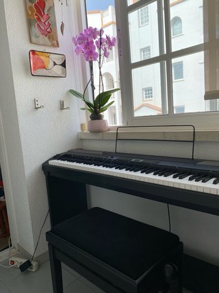 Thomann DP-26 Piano Digital Bundle
