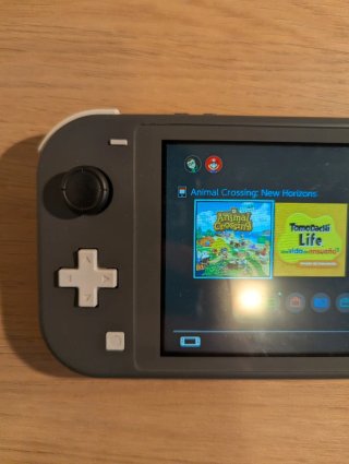 Nintendo Switch Lite Gris + Accesorios