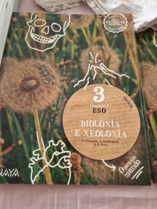 Libro de laeso