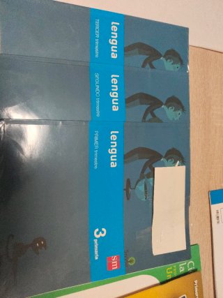 Lengua 3 primaria