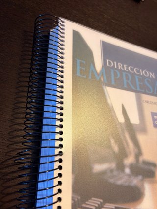 Dirección de Empresas (Spanish Edition)