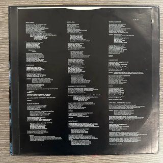 Holy Terror - Terror and Submission LP