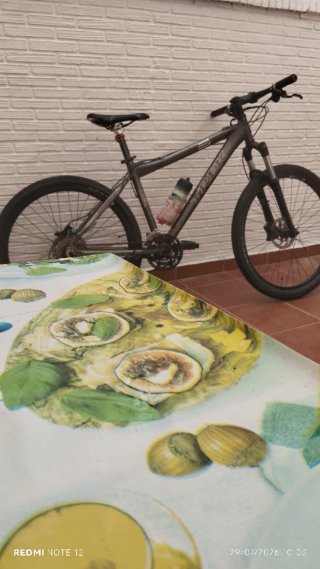 Bicicleta Trek
