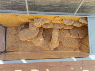 Jaula terrario para reptiles artesanal.