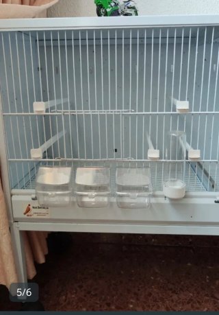 Jaula de cría Imor blanca
