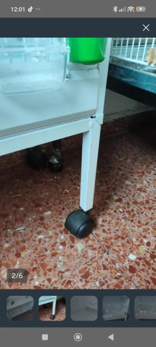 Jaula de cría Imor blanca