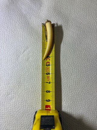 Colgante Cuerno Oro 18k Marfil