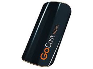 Receptor Wifi GoCast